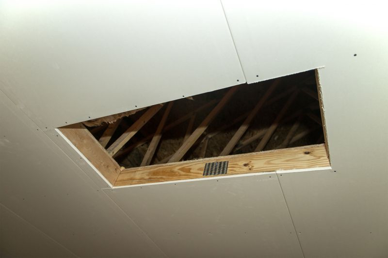 Attic Remodeling Service